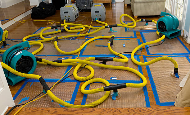 Professional Sewage Cleanup technician working in Winsted, MN